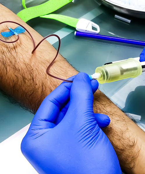 Phlebotomy Technician Program in Fredericksburg